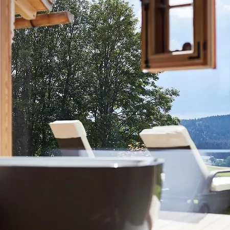 Alpstuga Dreisessel-chalets Im Bayerischen Wald - Dreisessel Mit Whirlpool-sauna-kamin