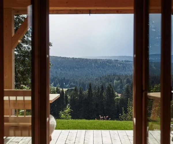 Dreisessel-chalets Im Bayerischen Wald - Dreisessel Mit Whirlpool-sauna-kamin *