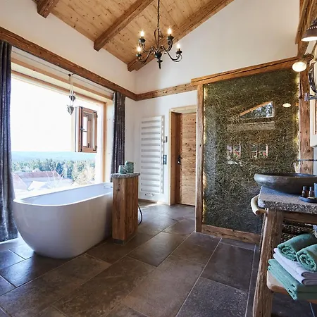 Dreisessel-chalets Im Bayerischen Wald - Dreisessel Mit Whirlpool-sauna-kamin *